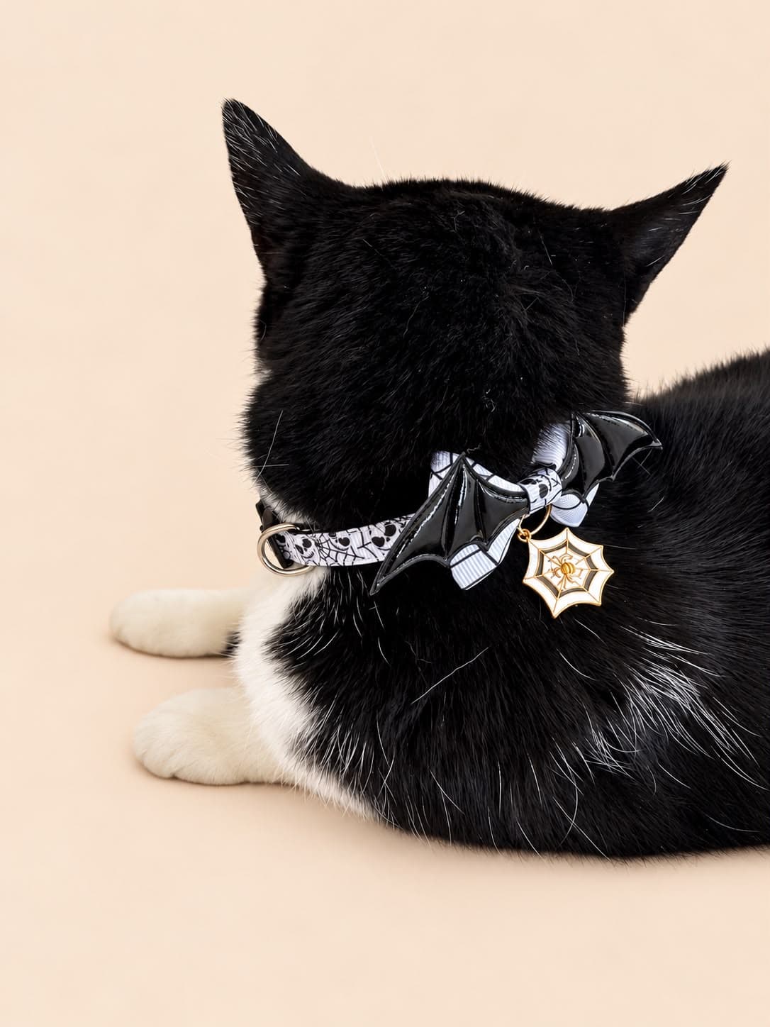 Gato negro con collar de murciélago y colgante de telaraña